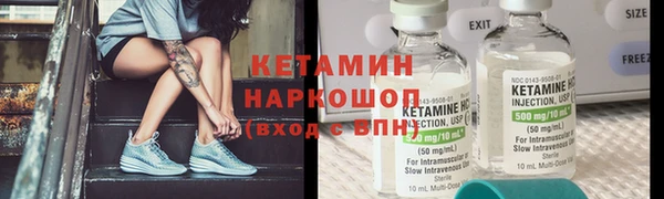 трава Верея