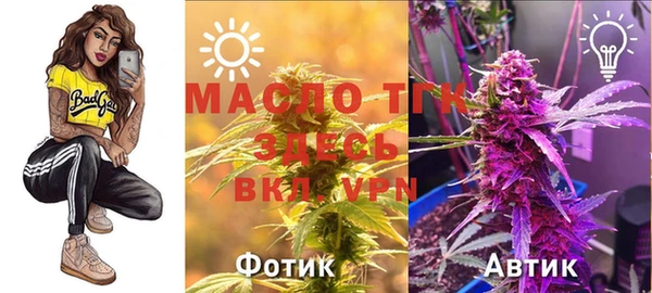 гидра Волосово