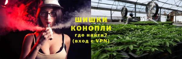 трава Верея